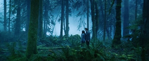Twilight (2008) BluRay 1080p h264 [Hindi-English]
