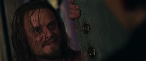 Havoc (2025) Web-DL 1080p h264 [Hindi-English-Tamil-Telugu]