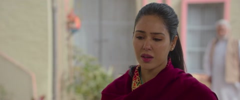 Kudi Haryane Val Di (2024) Web-DL 1080p hevc [Punjabi]