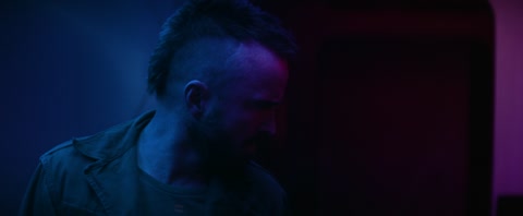 Ash (2025) Web-DL 1080p hevc [Hindi-English]