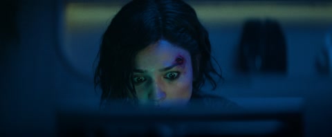Ash (2025) Web-DL 1080p hevc [Hindi-English]