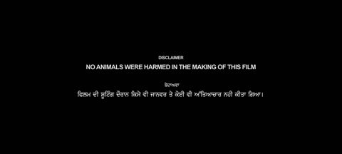 Shinda Shinda No Papa (2024) Web-DL 720p h264 [Punjabi]