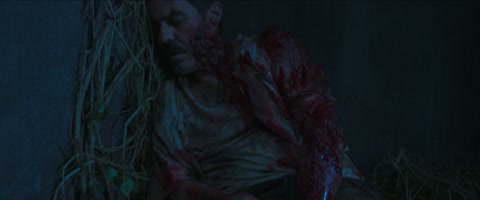 The Bayou (2025) Web-DL 1080p h264 [Hindi-English]