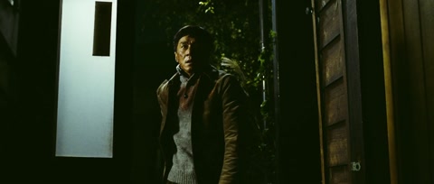 Shinjuku Incident (2009) BluRay 1080p h264 [Hindi-Chinese]