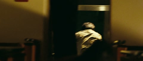 Shinjuku Incident (2009) BluRay 1080p h264 [Hindi-Chinese]