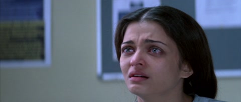 Provoked (2006) Web-DL 1080p h264 [Hindi-English]