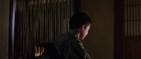 The Last Samurai (2003) BluRay 1080p h264 [Hindi-English]