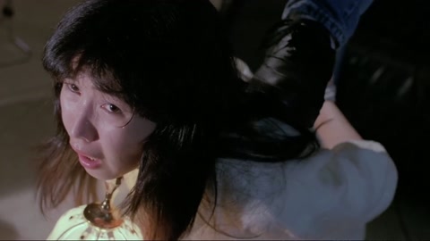 Asian Cop: High Voltage (1994) Web-DL 1080p h264 [Hindi-Chinese]