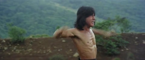 The Fearless Hyena (1979) BluRay 480p h264 [Hindi-Chinese]