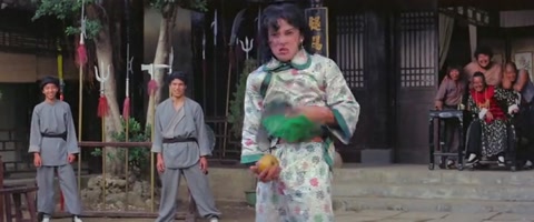 The Fearless Hyena (1979) BluRay 480p h264 [Hindi-Chinese]