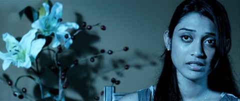 Theevram (2012) Web-DL 1080p h264 [Hindi-Malayalam]