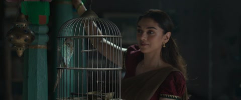 Sufiyum Sujatayum (2020) Web-DL 1080p h264 [Hindi-Malayalam]