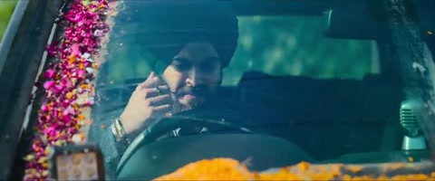 Wild Wild Punjab (2024) Web-DL 480p h264 [Hindi-Telugu-English-Tamil]