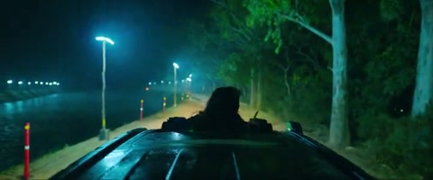 Wild Wild Punjab (2024) Web-DL 480p h264 [Hindi-Telugu-English-Tamil]