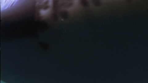 Shark Attack 3: Megalodon (2002) Web-DL 720p h264 [Hindi-English]