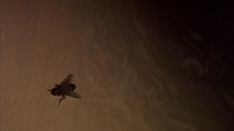 The 4th Floor (1999) BluRay 720p h264 [Hindi-English]