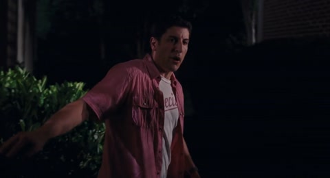 American Reunion (2012) BluRay 720p h264 [Hindi-English]