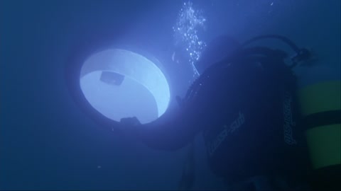 Shark Attack 2 (2000) Web-DL 1080p hevc [Hindi-English]