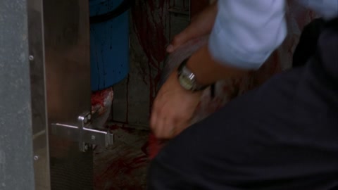 Shark Attack 2 (2000) Web-DL 1080p hevc [Hindi-English]